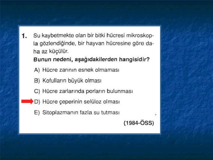 Hucre Ve Organelleri Oss Oys Sorulari