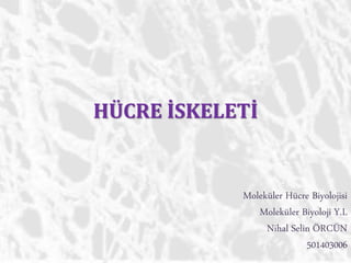HÜCRE İSKELETİ
Moleküler Hücre Biyolojisi
Moleküler Biyoloji Y.L
Nihal Selin ÖRCÜN
501403006
 