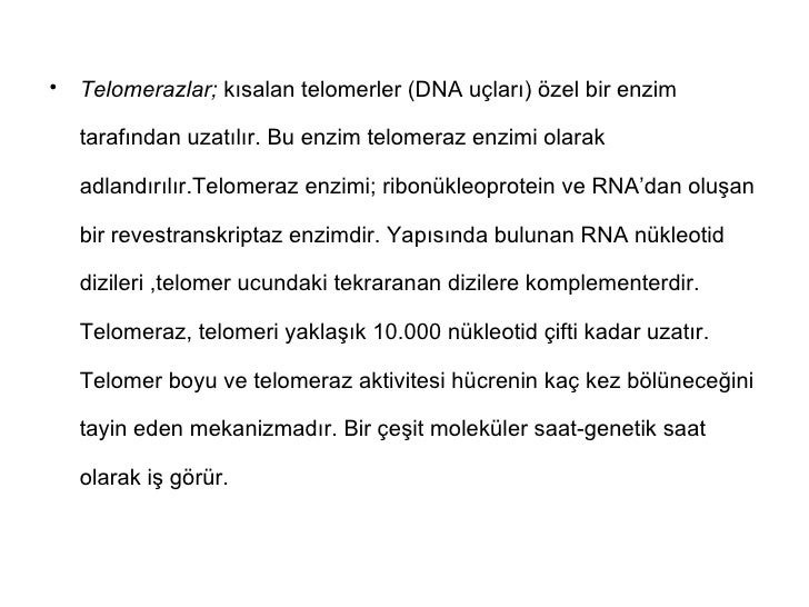 Biyoloji Ve Genetik Telomer Ve Telomeraz Youtube