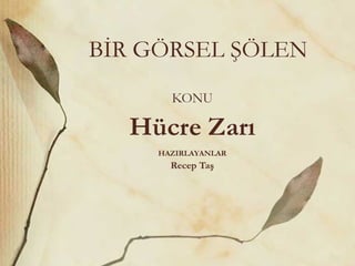 BİR GÖRSEL ŞÖLEN KONU Hücre Zarı HAZIRLAYANLAR Recep Taş 