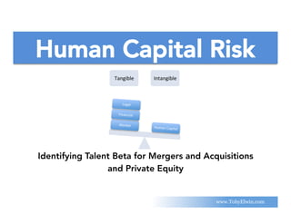 Human Capital Risk
Tangible) Intangible)
Human)Capital)
Market)
Financial)
Legal)
Identifying Talent Beta for Mergers and Acquisitions
and Private Equity
www.TobyElwin.com
 