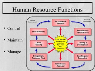 Hcs341 week 5 human resource management power point | PPT