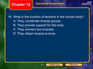 14. What is the function of tendons in the human body? A. They coordinate muscle groups. B. They provide support for the body. C. They connect two muscles. D. They attach muscle to bone. Chapter 12 Standards Assessment 