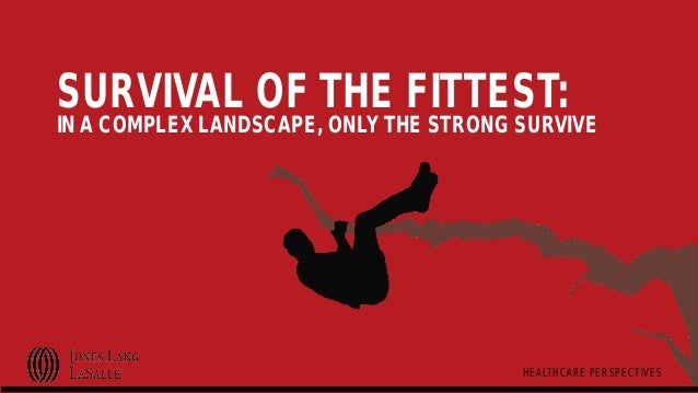 survival of the fittest state of survival 2022 survival of the fittest state of survival 2022