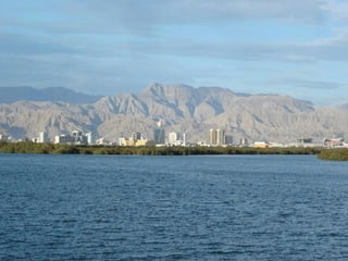 RAK Presentation | PPT