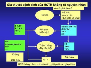 Giả thuyết bệnh sinh của HCTH không rõ nguyên nhân
Cơ địa
Rối loạn
Miễn dịch
Thấm màng
đáy cầu thận
HCTH
HCTH nhạy cảm corticosteroid, + tái phát sau ghép thận
Yếu tố phát bệnh?
Trẻ nhỏ
Nam > nữ
HLA DR7 và DQ2
Không
Đặc hiệu
Đặc hiệu
 