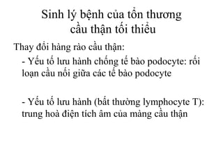 Sinh lý bệnh của tổn thương
cầu thận tối thiểu
Thay đổi hàng rào cầu thận:
- Yếu tố lưu hành chống tế bào podocyte: rối
loạn cầu nối giữa các tế bào podocyte
- Yếu tố lưu hành (bất thường lymphocyte T):
trung hoà điện tích âm của màng cầu thận
 