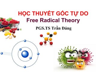 L/O/G/O 
HỌC THUYẾT GỐC TỰ DO 
www.trungtamtinhoc.edu.vn 
Free Radical Theory 
PGS.TS Trần Đáng 
 