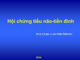 Hội chứng tiểu não-tiền đình
PGS.TS.BS. CAO PHI PHONG
2016
 