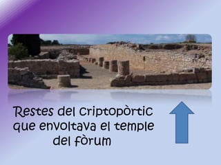 Restes del criptopòrtic
que envoltava el temple
del fòrum

 
