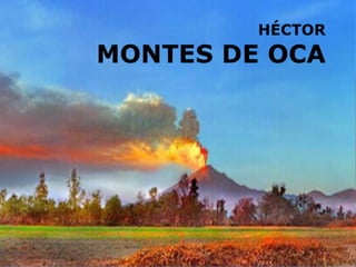 Héctor Montes de Oca