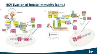 HCV Evasion of innate immunity (cont.)
22
 