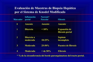 Evaluación de Muestras de Biopsia Hepática
por el Sistema de Knodel Modificado
Inflamación Necrosis*
Marcador portal Parcelar Fibrosis
0 Ausente Ausente Ausente
1 Discreta < 10% Expansión de
fibrosis portal
2 Discreta a Septum
moderada 10-25% incompleto
3 Moderada 25-50% Puentes de fibrosis
4 Moderada > de 50% Fibrosis
* % de la circunferencia del borde parenquimatoso del tracto portal.
 