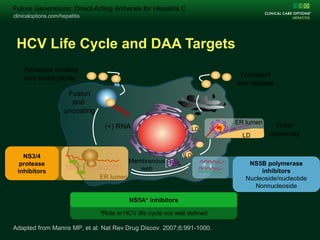 clinicaloptions.com/hepatitis
Change Folio Title on Master /Arial 15pt /Unbold White
clinicaloptions.com/hepatitis
Future Generations: Direct-Acting Antivirals for Hepatitis C
HCV Life Cycle and DAA Targets
Adapted from Manns MP, et al. Nat Rev Drug Discov. 2007;6:991-1000.
Receptor binding
and endocytosis
Fusion
and
uncoating
Transport
and release
(+) RNA
Translation and
polyprotein
processing
RNA replication
Virion
assembly
Membranous
web
ER lumen
LD
LD
ER lumen
LD
NS3/4
protease
inhibitors
NS5B polymerase
inhibitors
Nucleoside/nucleotide
Nonnucleoside
*Role in HCV life cycle not well defined
NS5A* inhibitors
 