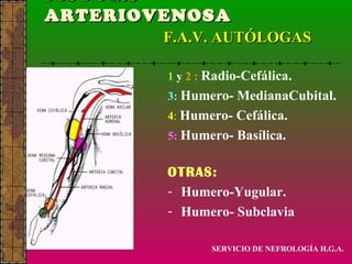 FÍSTULA  ARTERIOVENOSA   F.A.V. AUTÓLOGAS 1   y   2   :   Radio-Cefálica. 3:   Humero- MedianaCubital. 4 :   Humero- Cefálica. 5:   Humero- Basílica. OTRAS: Humero-Yugular. Humero- Subclavia SERVICIO DE NEFROLOGÍA H.G.A. 