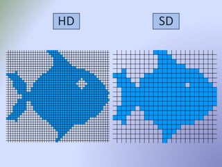 HD SD 
 