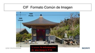 CIF  Formato Común de Imagen 5 veces la información  de una imagen PAL 1920 Pixels 1080 Líneas 