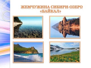 Sibir