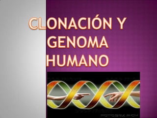 CLONACIÓN Y GENOMA  HUMANO 