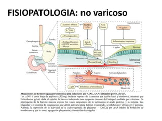 FISIOPATOLOGIA: no varicoso
 
