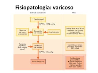 Fisiopatologia: varicoso
 