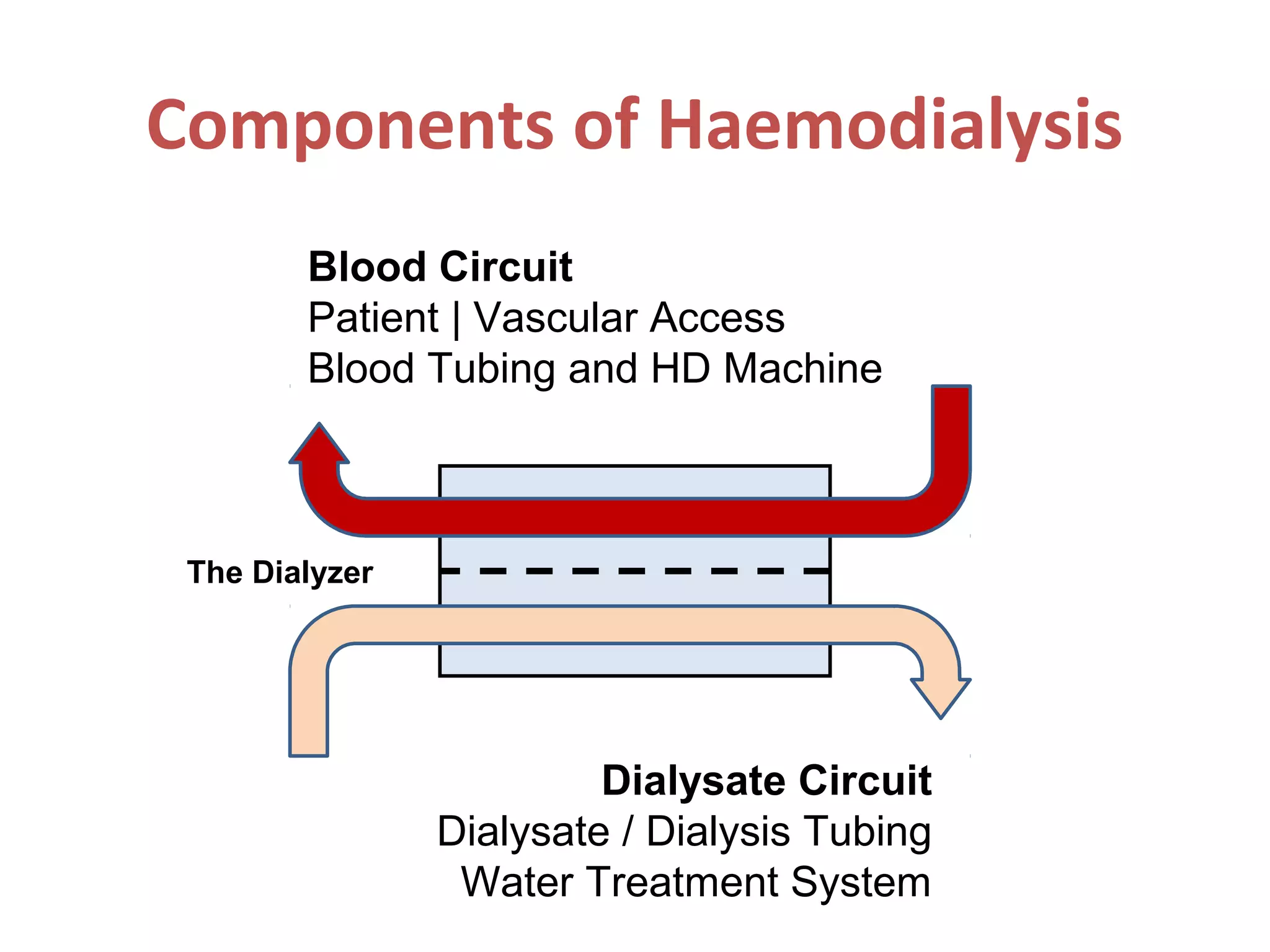 Components of Haemodialysis
Blood Circuit
Patient | Vascular Access
Blood Tubing and HD Machine
Dialysate Circuit
Dialysate / Dialysis Tubing
Water Treatment System
The Dialyzer
 