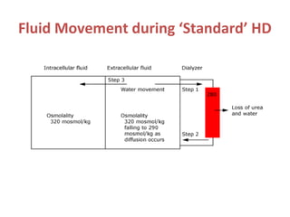 Fluid Movement during ‘Standard’ HD
 