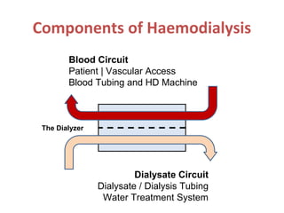 Components of Haemodialysis
Blood Circuit
Patient | Vascular Access
Blood Tubing and HD Machine
Dialysate Circuit
Dialysate / Dialysis Tubing
Water Treatment System
The Dialyzer
 