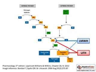 UFH
Pharmacology, 5th edition. Lippincott Williams & Wilkins. Chapter 20, IV. 2012
Image reference: Bombeli T, Spahn DR. Br J Anaesth. 2004 Aug;93(2):275-87
LMWH
 