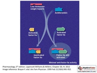 Pharmacology, 5th edition. Lippincott Williams & Wilkins. Chapter 20, IV. 2012
Image reference: Brayan F. etal. Am Fam Physician. 1999 Feb 15;59(4):945-952.
 