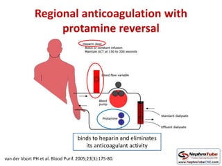 Regional anticoagulation with
protamine reversal
binds to heparin and eliminates
its anticoagulant activity
van der Voort PH et al. Blood Purif. 2005;23(3):175-80.
 