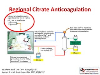Regional Citrate Anticoagulation
Stucker F et al. Crit Care. 2015;19(1):91.
Apsner R et al. Am J Kidney Dis. 2005;45(3):557
 