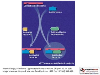 Pharmacology, 5th edition. Lippincott Williams & Wilkins. Chapter 20, IV. 2012
Image reference: Brayan F. etal. Am Fam Physician. 1999 Feb 15;59(4):945-952.
 