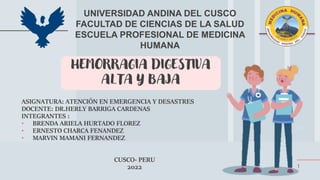 1
UNIVERSIDAD ANDINA DEL CUSCO
FACULTAD DE CIENCIAS DE LA SALUD
ESCUELA PROFESIONAL DE MEDICINA
HUMANA
HEMORRAGIA DIGESTIVA
ALTA Y BAJA
ASIGNATURA: ATENCIÓN EN EMERGENCIA Y DESASTRES
DOCENTE: DR.HERLY BARRIGA CARDENAS
INTEGRANTES :
• BRENDA ARIELA HURTADO FLOREZ
• ERNESTO CHARCA FENANDEZ
• MARVIN MAMANI FERNANDEZ
CUSCO- PERU
2022
 