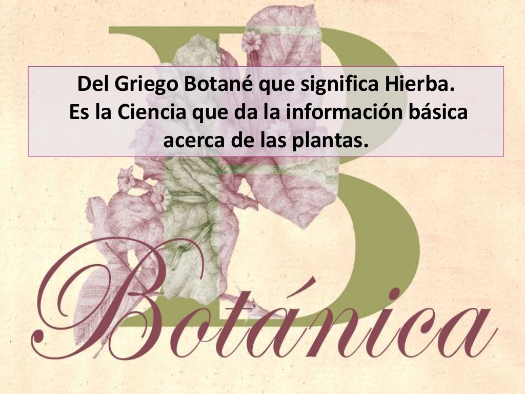 Historia De La Botánica