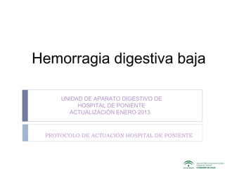 Hemorragia digestiva baja
PROTOCOLO DE ACTUACIÓN HOSPITAL DE PONIENTE
UNIDAD DE APARATO DIGESTIVO DE
HOSPITAL DE PONIENTE
ACTUALIZACIÓN ENERO 2013
 