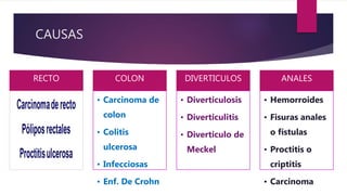 CAUSAS
RECTO COLON
• Carcinoma de
colon
• Colitis
ulcerosa
• Infecciosas
• Enf. De Crohn
DIVERTICULOS
• Diverticulosis
• Diverticulitis
• Diverticulo de
Meckel
ANALES
• Hemorroides
• Fisuras anales
o fístulas
• Proctitis o
criptitis
• Carcinoma
 