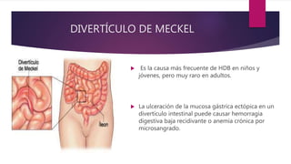 DIVERTÍCULO DE MECKEL
 Es la causa más frecuente de HDB en niños y
jóvenes, pero muy raro en adultos.
 La ulceración de la mucosa gástrica ectópica en un
divertículo intestinal puede causar hemorragia
digestiva baja recidivante o anemia crónica por
microsangrado.
 