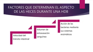 FACTORES QUE DETERMINAN EL ASPECTO
DE LAS HECES DURANTE UNA HDB
Velocidad del
tránsito intestinal
Volumen de
extravasación
sanguínea
Acción de las
bacterias mediante
sus sistemas
enzimáticos
 