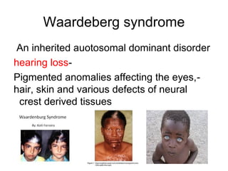 Waardeberg syndrome 
An inherited auotosomal dominant disorder 
hearing loss- 
Pigmented anomalies affecting the eyes, - 
hair, skin and various defects of neural 
crest derived tissues 
 
