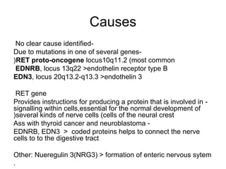 Causes 
No clear cause identified- 
Due to mutations in one of several genes- 
(RET proto-oncogene locus10q11.2 (most common 
EDNRB, locus 13q22 >endothelin receptor type B 
EDN3, locus 20q13.2-q13.3 >endothelin 3 
RET gene 
Provides instructions for producing a protein that is involved in - 
signalling within cells,essential for the normal development of 
(several kinds of nerve cells (cells of the neural crest 
Ass with thyroid cancer and neuroblastoma - 
EDNRB, EDN3 > coded proteins helps to connect the nerve 
cells to to the digestive tract 
Other: Nueregulin 3(NRG3( > formation of enteric nervous sytem 
. 
 