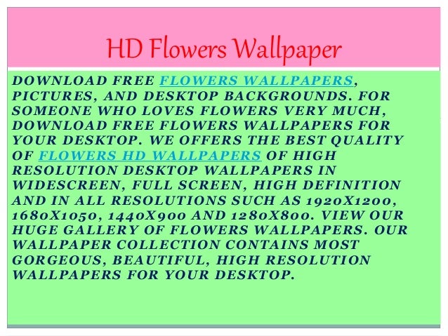 Flowers Wallpapers Flowers Hd Wallpapers