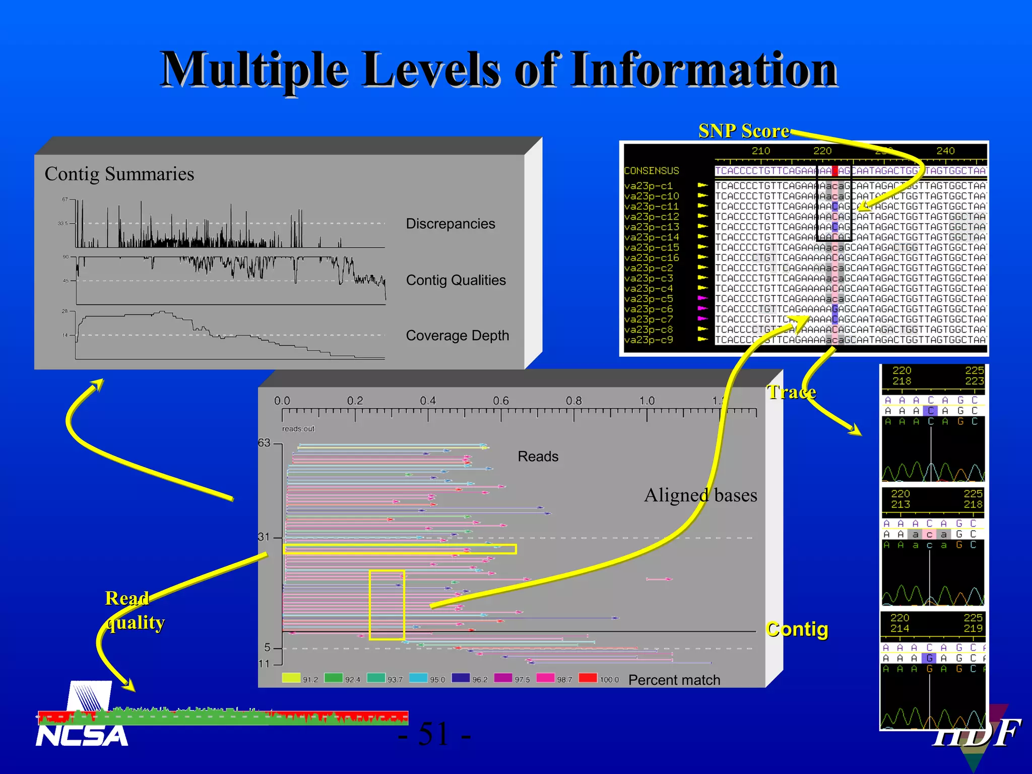 Multiple Levels of Information
SNP Score
Contig Summaries
Discrepancies

Contig Qualities

Coverage Depth

Trace
Reads

Aligned bases

Read
quality

Contig
Percent match

- 51 -

HDF

 
