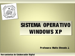 SISTEMA OPERATIVO
WINDOWS XP
SISTEMA OPERATIVO
WINDOWS XP
Profesora: Maite Olmedo J.
Herramientas de Colaboración Digital
 