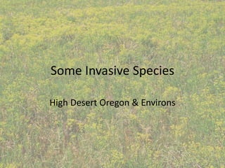 Some Invasive Species

High Desert Oregon & Environs
 