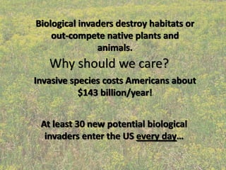 Biological invaders destroy habitats or 
    out‐compete native plants and 
               animals.
   Why should we care?
Invasive species costs Americans about 
           $143 billion/year!


 At least 30 new potential biological 
  invaders enter the US every day…
 