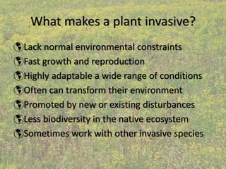What makes a plant invasive?
Lack normal environmental constraints
Fast growth and reproduction
Highly adaptable a wide range of conditions
Often can transform their environment
Promoted by new or existing disturbances
Less biodiversity in the native ecosystem
Sometimes work with other invasive species
 