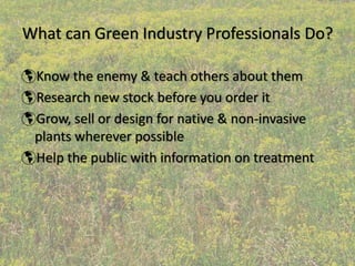 What can Green Industry Professionals Do?

 Know the enemy & teach others about them
 Research new stock before you order it
 Grow, sell or design for native & non‐invasive 
 plants wherever possible
 Help the public with information on treatment
 