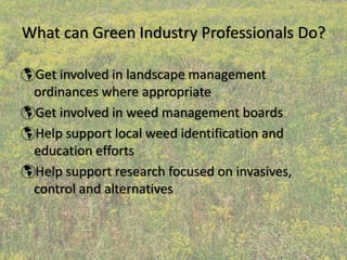 What can Green Industry Professionals Do?

 Get involved in landscape management 
 ordinances where appropriate
 Get involved in weed management boards
 Help support local weed identification and 
 education efforts
 Help support research focused on invasives, 
 control and alternatives
 