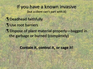 If you have a known invasive 
          (but a client can’t part with it)

Deadhead faithfully
Use root barriers
Dispose of plant material properly—bagged in 
the garbage or burned (completely)

      Contain it, control it, or cage it!
 